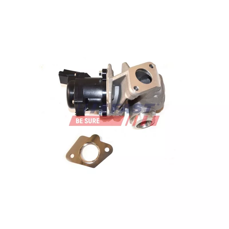 Vanne EGR FAST FT60225