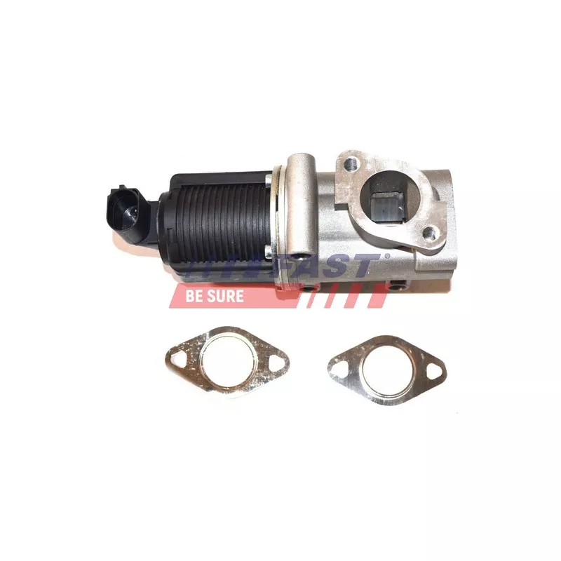 Vanne EGR FAST FT60227