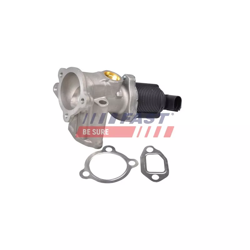Vanne EGR FAST FT60228