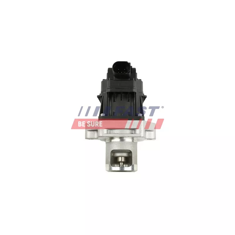 Vanne EGR FAST FT60234
