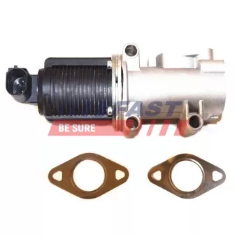 Vanne EGR FAST FT60238