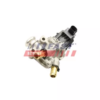 Vanne EGR FAST FT60247