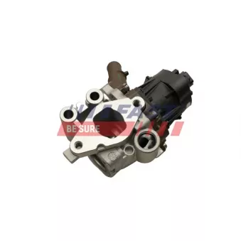 Vanne EGR FAST FT60248