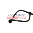Durite de radiateur FAST FT61119 - Visuel 2