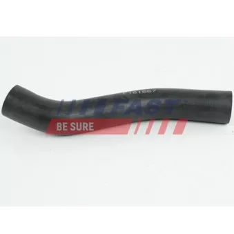 Durite de radiateur FAST FT61667