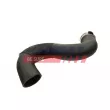Gaine de suralimentation FAST FT65131 - Visuel 1