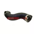Gaine de suralimentation FAST FT65528 - Visuel 2