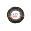 Couple conique/set pignons coniques FAST FT66203 - Visuel 3