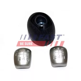 Pommeau FAST FT73204