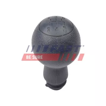 Pommeau FAST FT73205