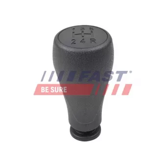 Pommeau FAST FT73206