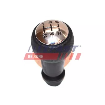 Pommeau FAST FT73210