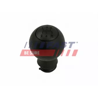 Pommeau FAST FT73217