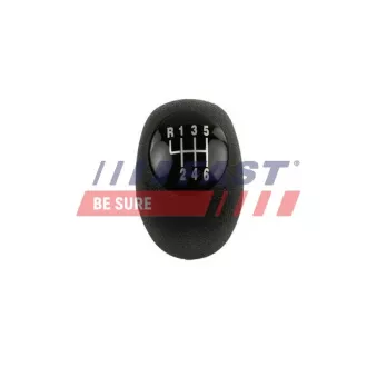Pommeau FAST FT73225