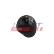 Pommeau FAST FT73225 - Visuel 2