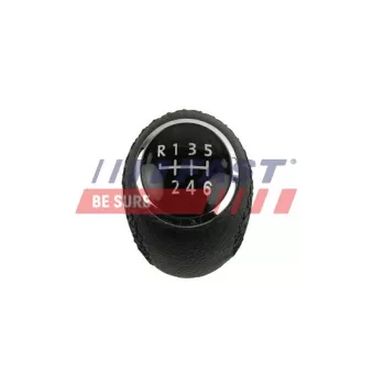 Pommeau FAST FT73226