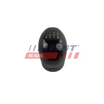 Pommeau FAST FT73228
