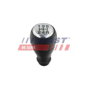 Pommeau FAST FT73235