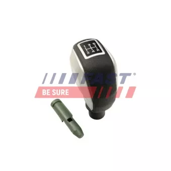 Pommeau FAST FT73238
