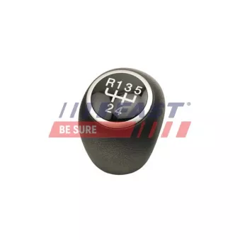 Pommeau FAST FT73239