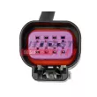 Kit de câbles, projecteur de travail arrière droit FAST FT76102 - Visuel 2
