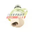 Soupape, filtre à charbon actif FAST FT80108 - Visuel 1