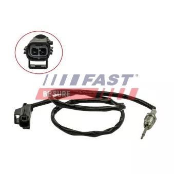 Capteur, température des gaz FAST FT80224