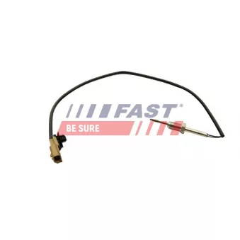 Capteur, température des gaz FAST FT80239