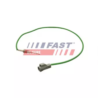 Capteur, température des gaz FAST FT80248