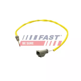 Capteur, température des gaz FAST FT80255