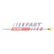 Jauge de niveau d'huile FAST FT80319 - Visuel 1