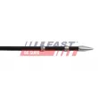 Jauge de niveau d'huile FAST FT80321 - Visuel 3