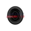 Capteur, régime FAST FT80599 - Visuel 3