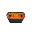 Feu latéral FAST FT87307 - Visuel 1