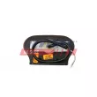 Feu latéral FAST FT87309 - Visuel 2