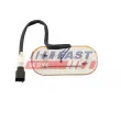 Feu latéral FAST FT87356 - Visuel 2