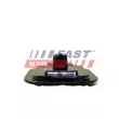 Feu latéral FAST FT87357 - Visuel 2