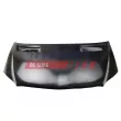 Capot-moteur FAST FT89129 - Visuel 1