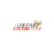 Baguette et bande protectrice, porte avant gauche FAST FT90426 - Visuel 3