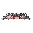 Grille de ventilation, pare-chocs FAST FT91515G - Visuel 2