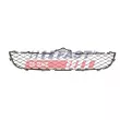 Grille de radiateur FAST FT91601 - Visuel 1