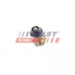 Guidage, bouton de verrouillage FAST FT94088 - Visuel 1