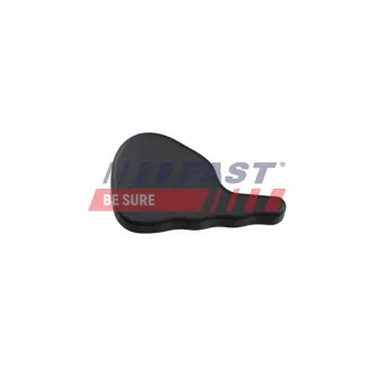 Poignet de porte, équipment intérieur FAST FT94418