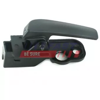 Poignet de porte, équipment intérieur FAST FT94580
