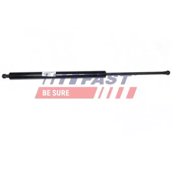 Vérin, vitre arrière FAST FT94828