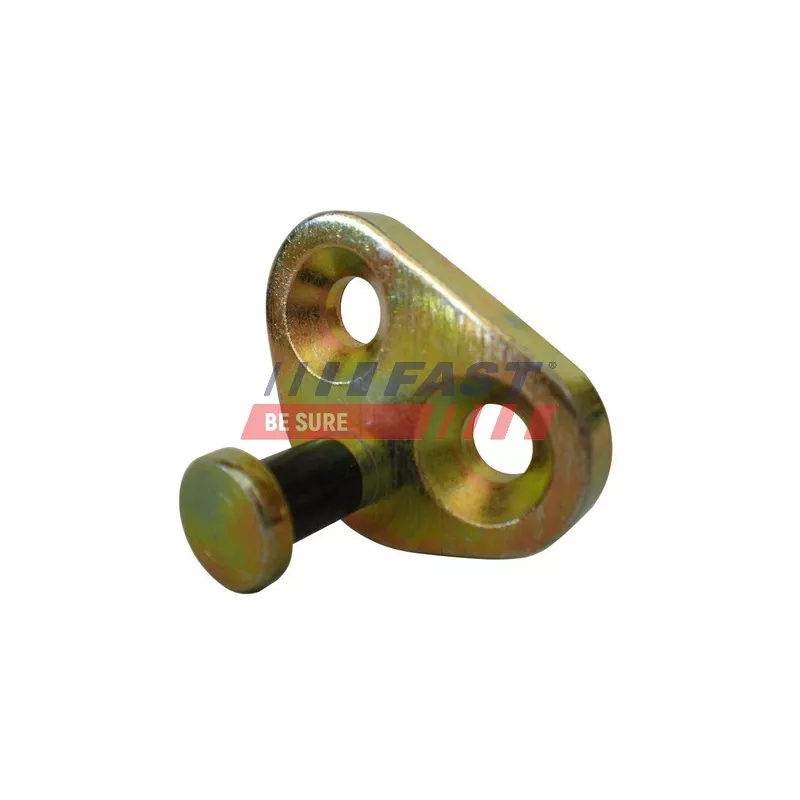 Guidage, bouton de verrouillage arrière gauche FAST FT95424