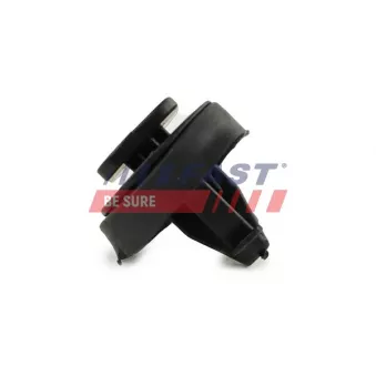 Clip, enjoliveur FAST FT96310
