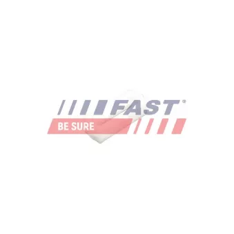 Clip, enjoliveur FAST FT96603