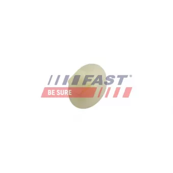 Clip, enjoliveur FAST FT96606