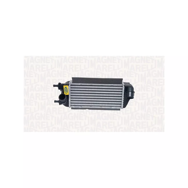 Intercooler, échangeur MAGNETI MARELLI 351319205670